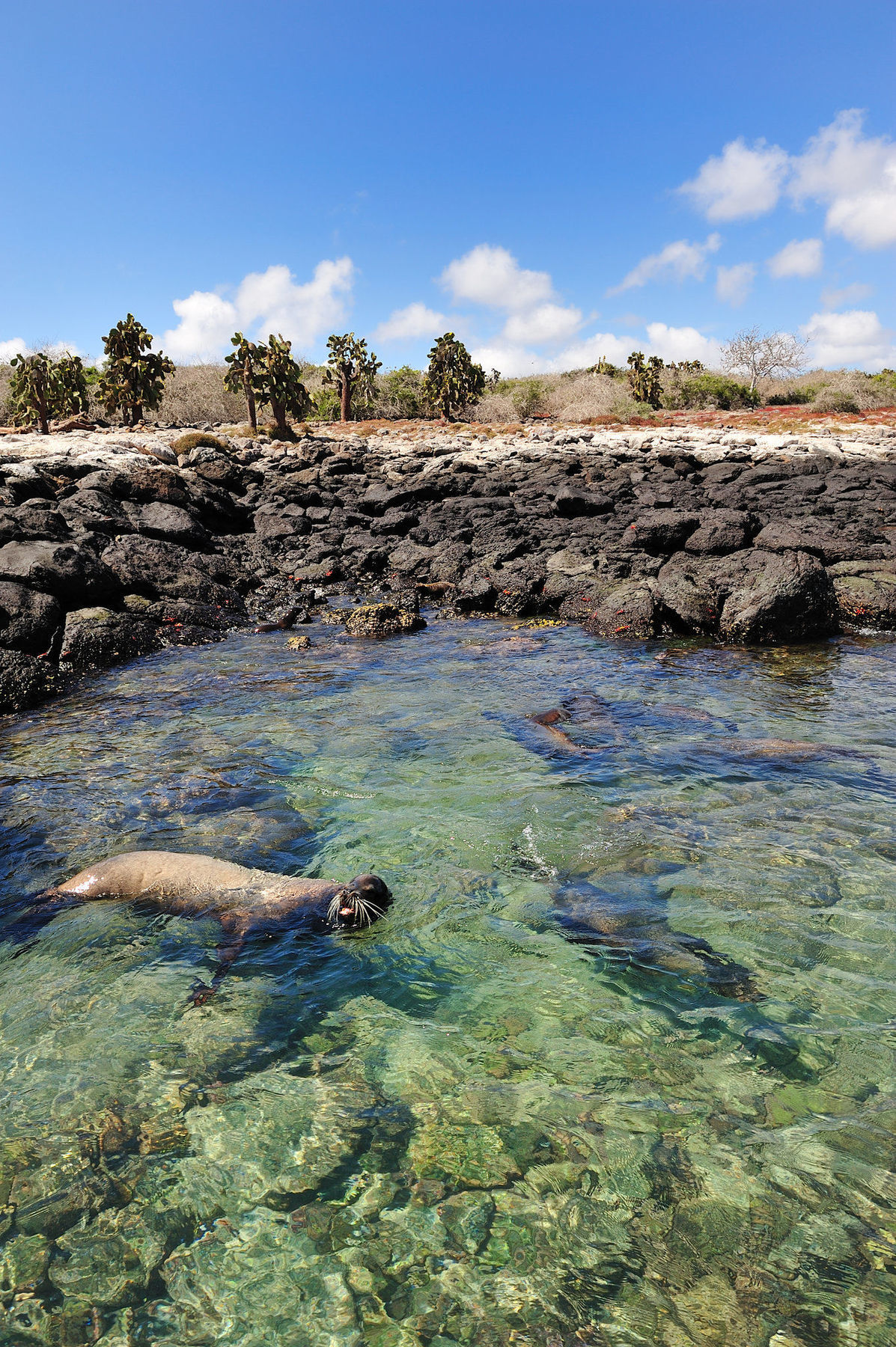 Pikaia Lodge Santa Cruz Island Екстериор снимка