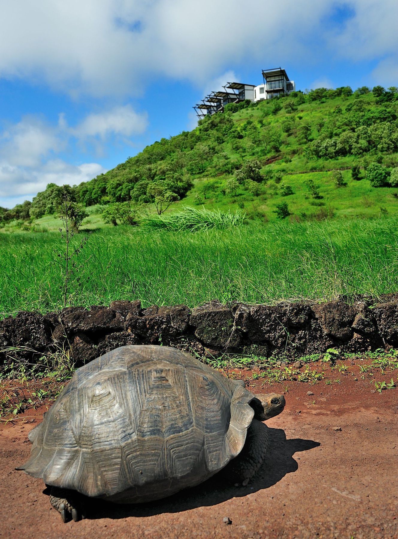 Pikaia Lodge Santa Cruz Island Екстериор снимка